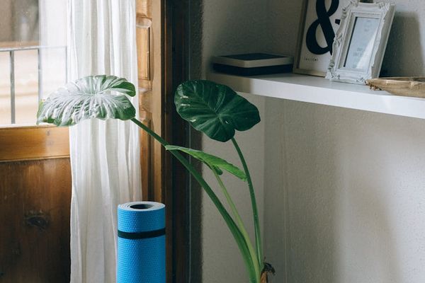 Minimalist workout space with natural light coming from a window.